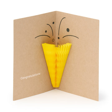 Honeycomb Paper Pop-Up Card - Party Popper MUJI