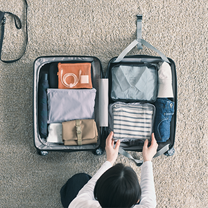 Your New Travel Companion