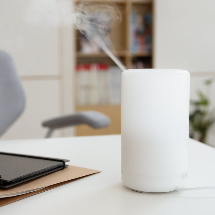Bugis Diffuser Essential Oil Diffuser 100 ml | Aroma Diffuser | MUJI Canada